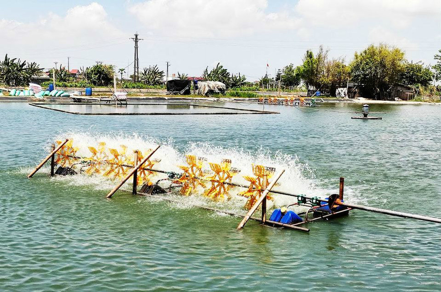 Quỹ hỗ trợ phát triển HTX (Kỳ I): Vẫn trong cơn khát... vốn