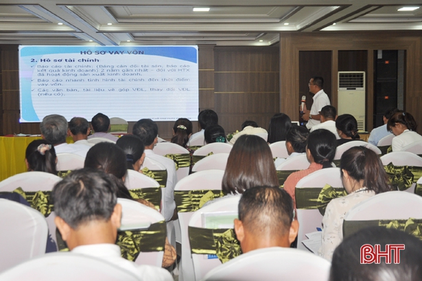 110 HTX, quỹ tín dụng Hà Tĩnh được “cầm tay chỉ việc” tiếp cận vốn đầu tư