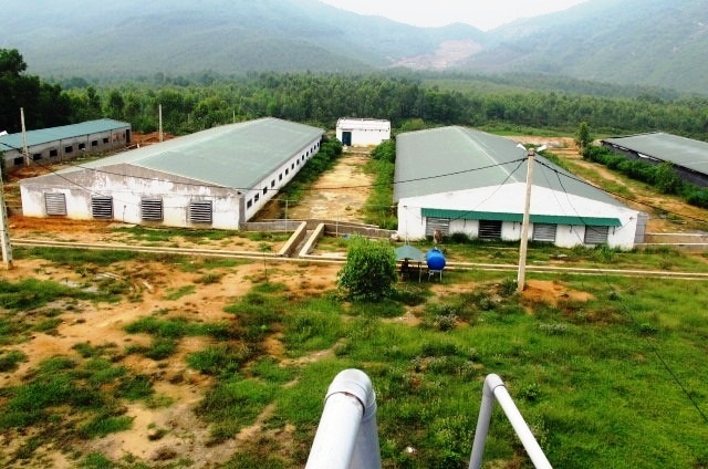 Gỡ nút thắt về vốn để HTX phát triển
