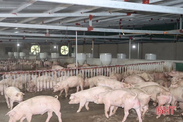 Nhiều hợp tác xã ở Hà Tĩnh “đổi đời” nhờ ứng dụng công nghệ cao vào sản xuất
