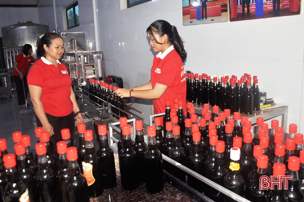 Nhiều hợp tác xã ở Hà Tĩnh “đổi đời” nhờ ứng dụng công nghệ cao vào sản xuất