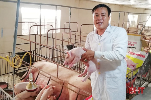 “Chắp cánh” cho các mô hình kinh tế tập thể Hà Tĩnh lớn mạnh