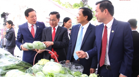 Kết nối cung cầu và lời giải cho nông sản của các HTX